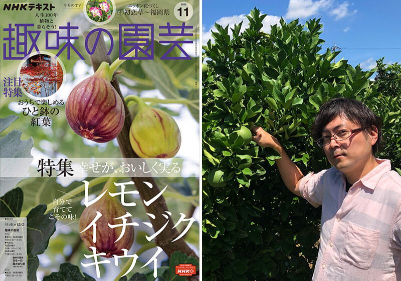 レモン栽培の新常識？！＜鉢植えレモンの、いいところ＞趣味の園芸11月号こぼれ話 【前編】