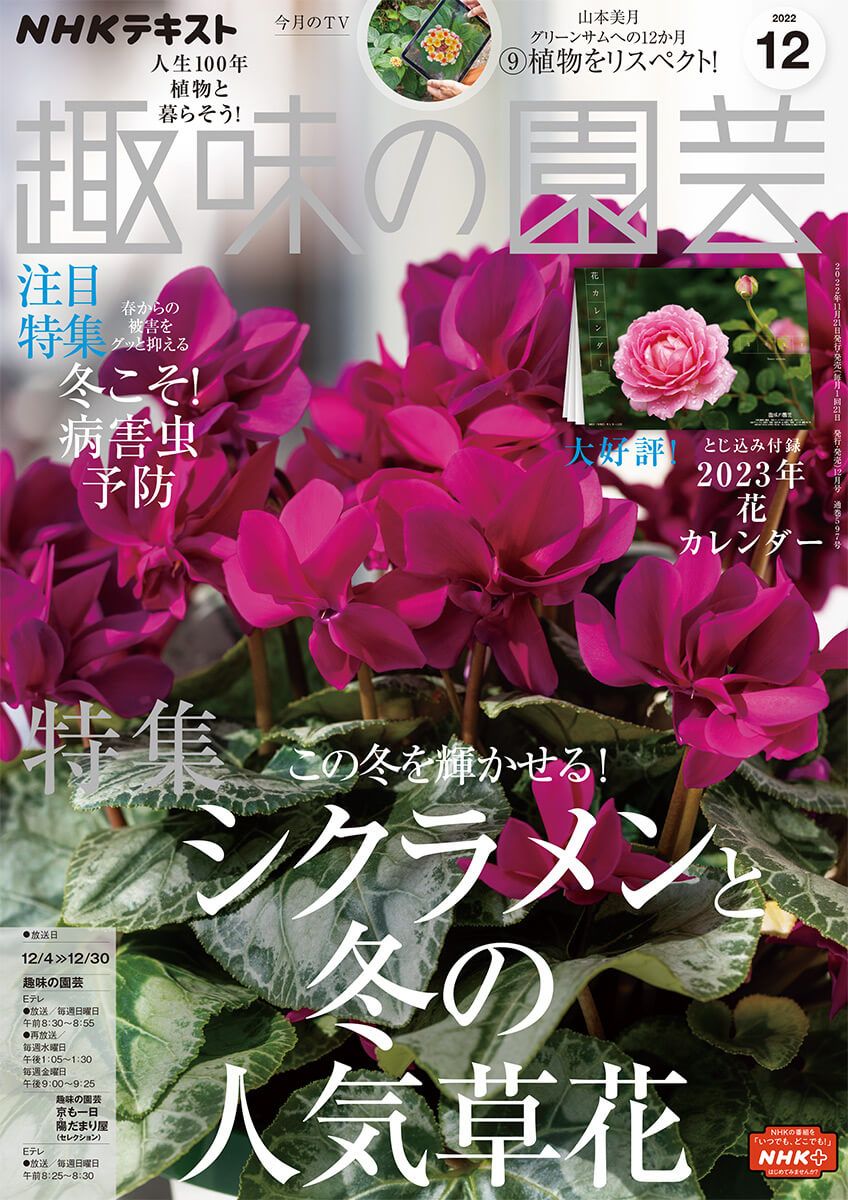 『趣味の園芸』2022年12月号の紹介～シクラメンと冬の人気草花／冬こそ！病害虫予防／とじ込み付録「2023年 花カレンダー」