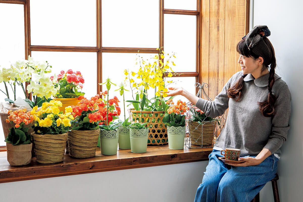 満開を維持する、冬の鉢花の管理