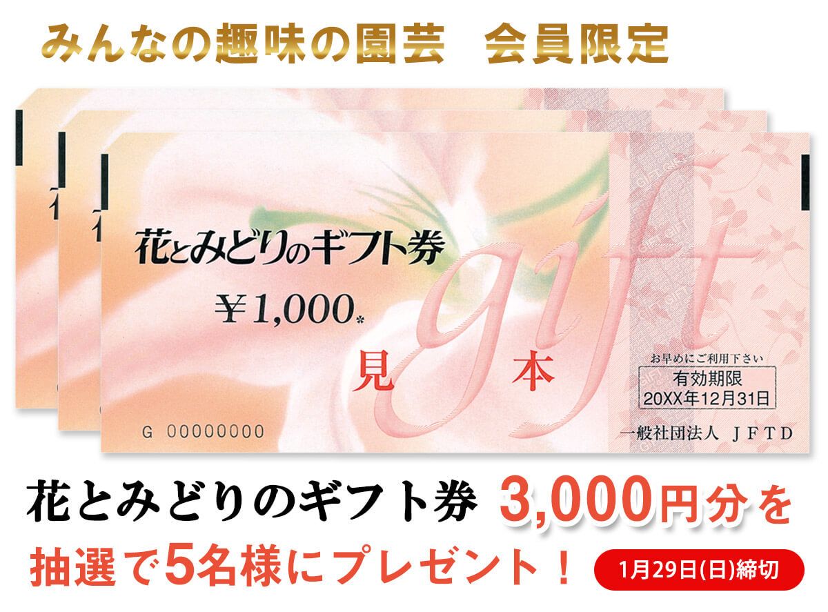 【会員限定】2023年お年玉プレゼント「花とみどりのギフト券」3,000円分を抽選で5名様に！