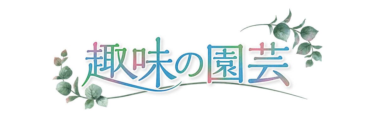 趣味の園芸番組ホームページで、花苗選びについてのアンケートを実施中！