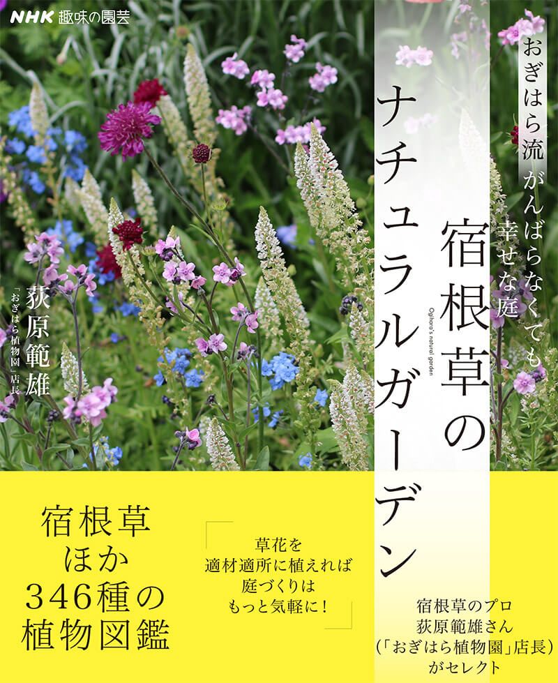 デザインしない、がんばらない、自然体の庭づくりが叶う『おぎはら流 がんばらなくても幸せな庭 宿根草のナチュラルガーデン』