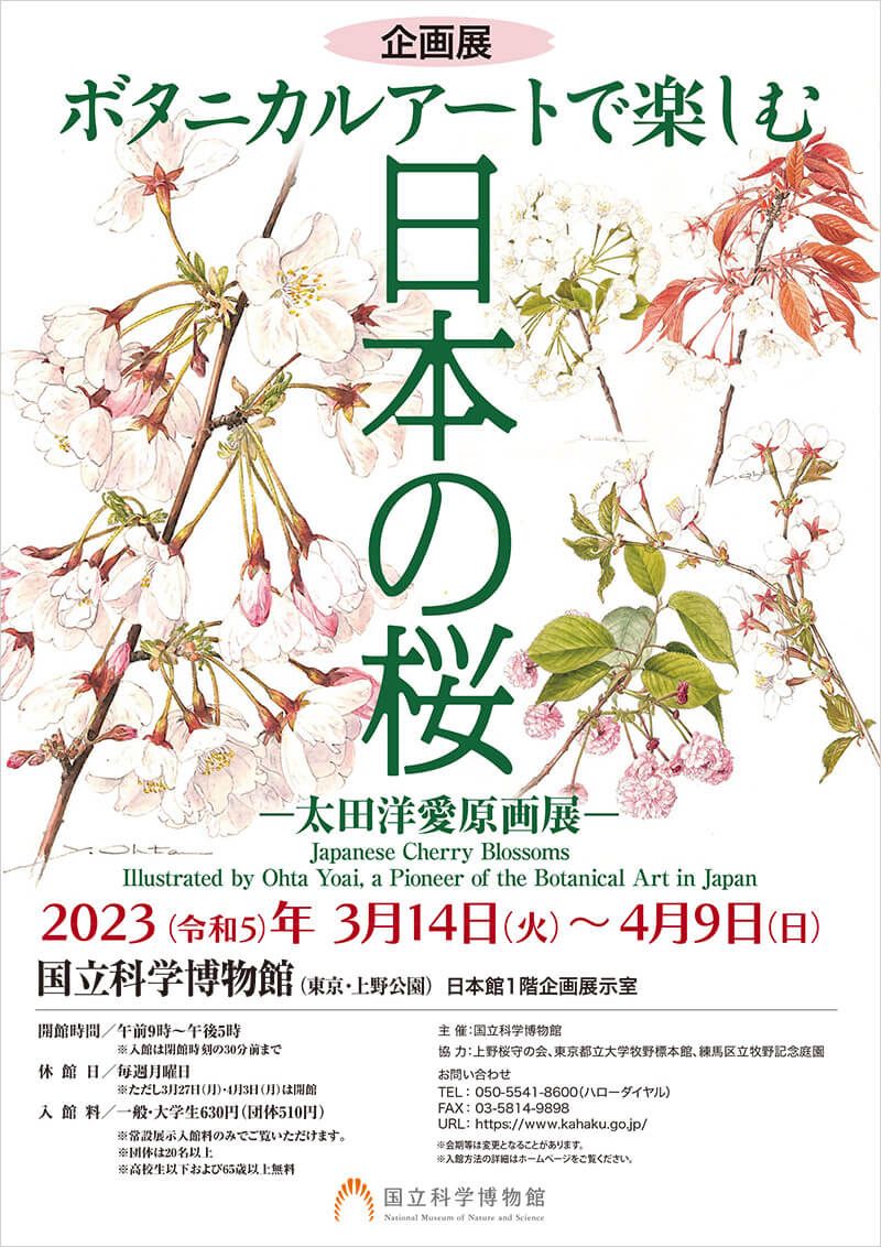 『趣味の園芸』創刊号の表紙を描いた、日本を代表する植物画家・太田洋愛の原画展が開催中！国立科学博物館で4月9日まで