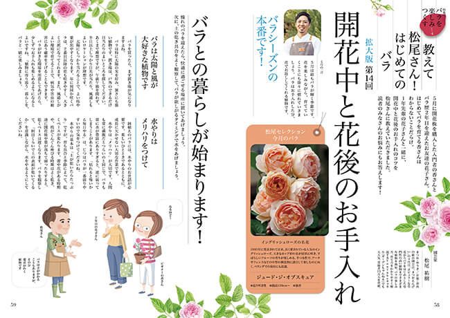 開花中と花後のお手入れ～連載「教えて松尾さん！はじめてのバラ」第14回（2023年5月号）