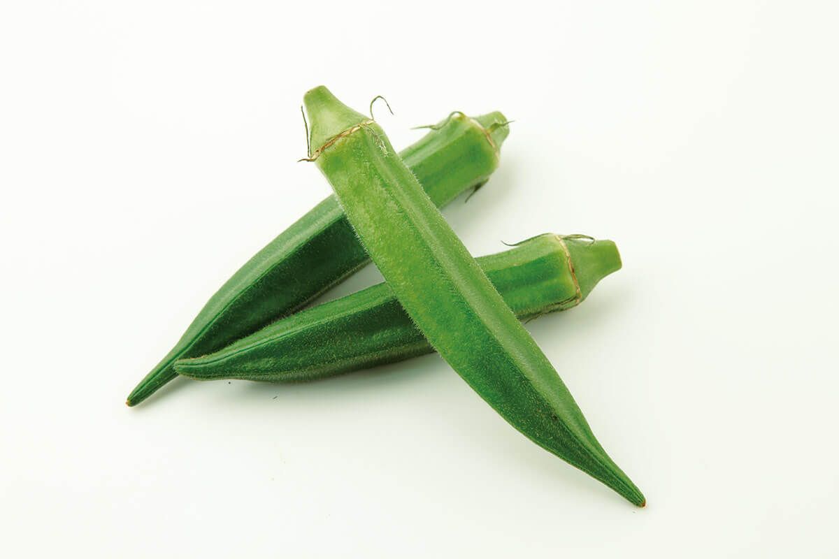 今月スタートできる野菜【プランター編】 オクラ