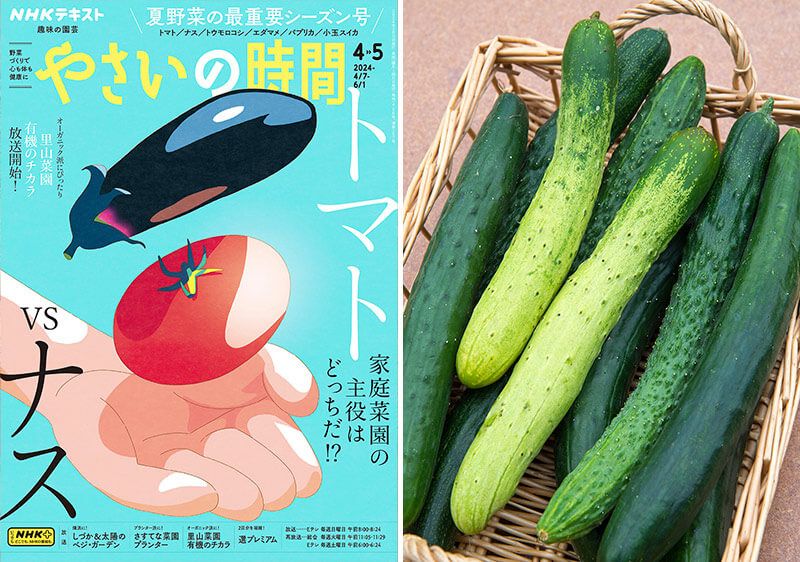 育ててみよう！　個性派キュウリいろいろ【やさいの時間4・5月号こぼれ話】