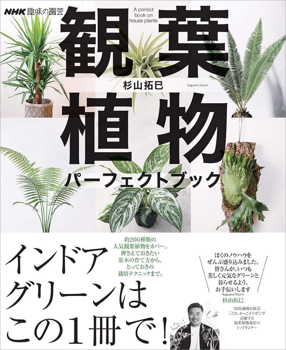 観葉植物ファンのための最強ガイドブック誕生！熱帯植物栽培家・杉山拓巳さんの『観葉植物 パーフェクトブック』