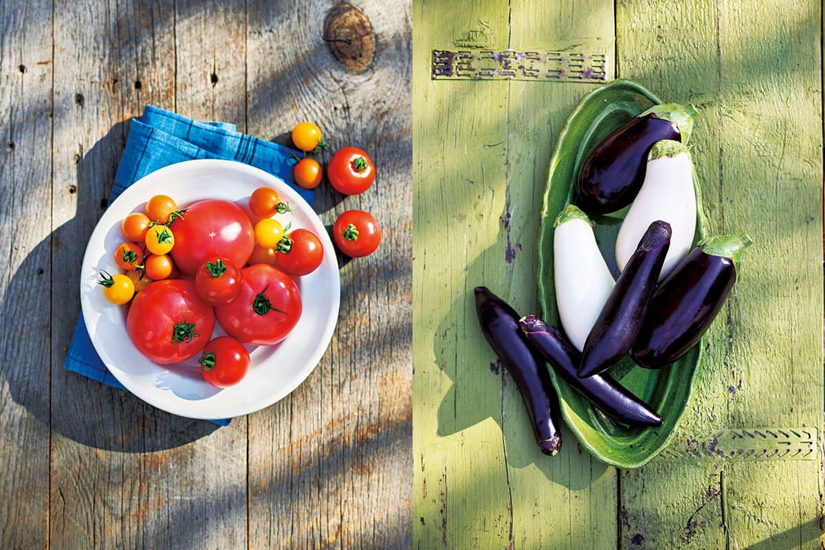 夏野菜、今年は何を育てる？家庭菜園の二大スター「トマト」と「ナス」は外せない！