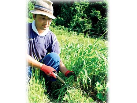 草とともに育てる極上野菜──「緑肥」のメリット