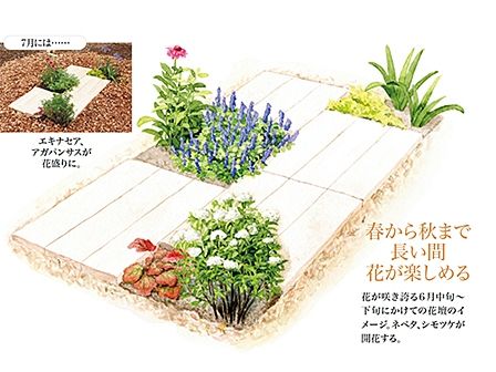 管理がラクなローメンテナンス花壇を作ろう