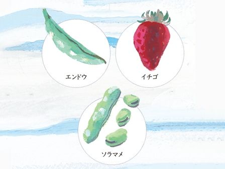 冬越し野菜を上手に育てる5つのポイント