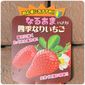 2023年　水耕栽培でイチゴを育てます🍓