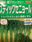 種からスティックセニョール🥦を育ててみる