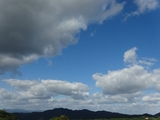 六甲高山植物園と有馬