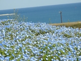 ひたち海浜公園