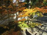 京都、秋色