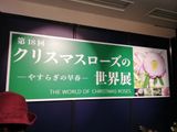 クリスマスローズの世界展　２０２０