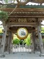 長谷寺の紫陽花2021.6.4