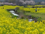 季節を彩る植物たち