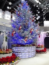 新潟県立植物園で「クリスマス展」開催中！ 20日～24日は夜間も開園