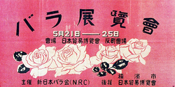 バラ「3-35-40」を守れ！～名花'ピース'の第2次世界大戦