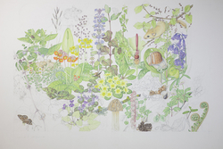キューガーデンがやって来た！「世界遺産キュー王立植物園所蔵 イングリッシュ・ガーデン 英国に集う花々」展