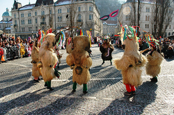 美しきスロヴェニアのクリスマスローズ～まもなく「第14回クリスマスローズの世界展」