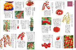 基本＋プロの技　ありそうでなかった単品野菜栽培シリーズ、2冊同時発売！ 『おいしくできる！ トマト』『おいしくできる！ ナス』