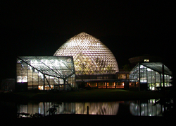 【夜間開園イベント2017】この夏、夜の植物園へ行こう！