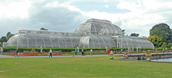 英国王立キュー植物園園長がやって来る!～講演会「私たちの植物園――今そしてこれから」