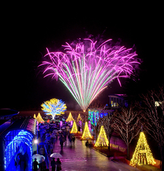 国営越後丘陵公園の「ウインターイルミネーション」、12/1は初開催の「長岡花火ウインターファンタジー」も