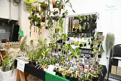 【イベントレポート】多くの植物ファンが集まり今回も大盛況！多様な植物が集まる「ボーダーブレイク」BORDER BREAK 5.5th