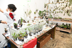 【イベントレポート】多くの植物ファンが集まり今回も大盛況！多様な植物が集まる「ボーダーブレイク」BORDER BREAK 5.5th