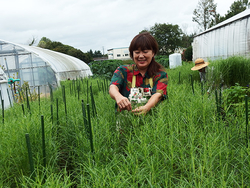 水戸市植物公園で秋咲き宿根草の魅力にはまろう！サルビアの見ごろは11月上旬頃まで