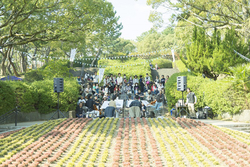 「公園びらきSPECIAL！」吹田市・千里南公園で花と緑のフェア開催！11月3日