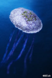 都心でエキゾチックな熱帯植物が観賞できる！夢の島熱帯植物館に出かけてみよう