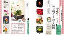 「京も一日 陽だまり屋」12月は冬を明るく彩る植物／12月6日(金)「あさイチ」に小笠原 誓さんが登場