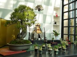 西日本最大規模のラン展！奇跡の星の植物館で「淡路夢舞台ラン展2020」開催中！