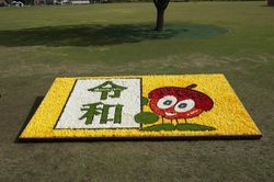 COVID-19収束への願いを込めて！ 国営越後丘陵公園スタッフがチューリップの花絵メッセージを制作！