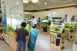 筑波実験植物園で「水草展ー旅する水草ー」8月7日～8月15日まで