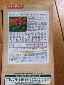 カンナの種まき By ハニぽん カンナの栽培記録 育て方 そだレポ みんなの趣味の園芸
