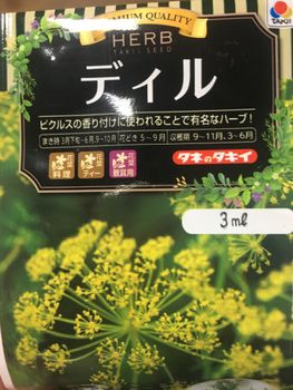 もりもり食べたいハーブ ディル By ぽそり ディルの栽培記録 育て方 そだレポ みんなの趣味の園芸