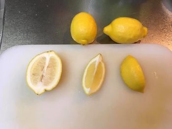 種からレモン By ゴミー レモン類の栽培記録 育て方 そだレポ みんなの趣味の園芸