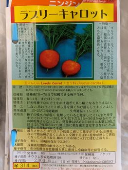 ベランダ鉢で種からラブリーキャロット By 4chan ニンジンの栽培記録 育て方 そだレポ みんなの趣味の園芸
