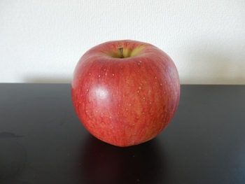 リンゴの種植え By まっちゃん リンゴの栽培記録 育て方 そだレポ みんなの趣味の園芸