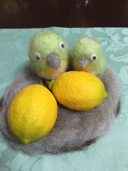 サイパンレモン 花と実を見たい By Sakurasou レモン類の栽培記録 育て方 そだレポ みんなの趣味の園芸