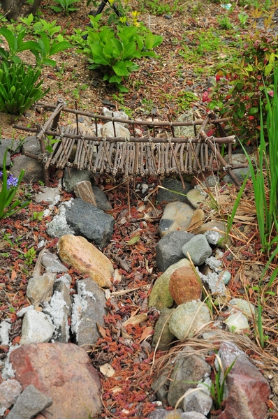 昨年 水はけのために作った水路です 庭造り ｄｉｙ のアルバム みんなの趣味の園芸 Id