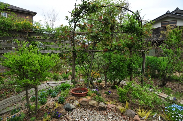 木切れで組んだ薔薇のフエンス 庭造り ｄｉｙ のアルバム みんなの趣味の園芸 Id