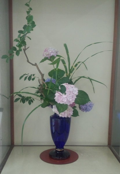 7月１週目 アジサイ 斑入りススキ 駅の生け花 のアルバム みんなの趣味の園芸 Id
