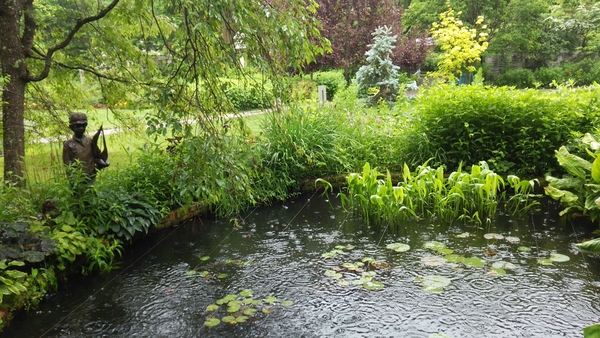 睡蓮の池 お花はまだでしたが 雨の中で 蓼科高原バラクライングリッシュガーデン のアルバム みんなの趣味の園芸 Id